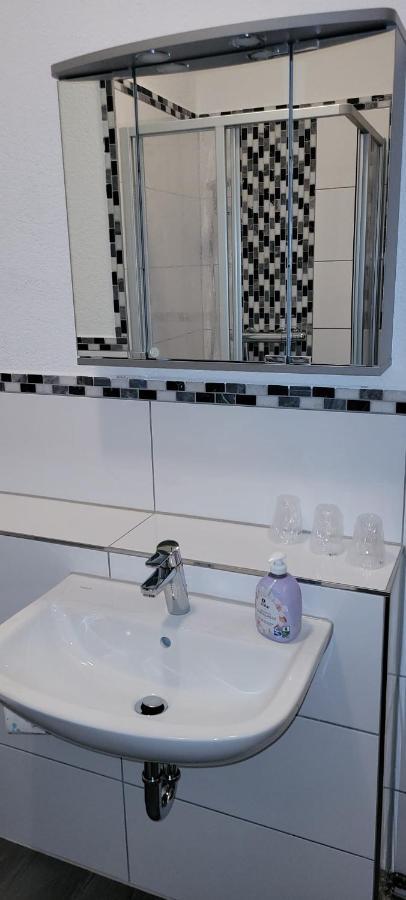 Zentral Und Ruhig In Auerbach Apartment Auerbach  Ngoại thất bức ảnh