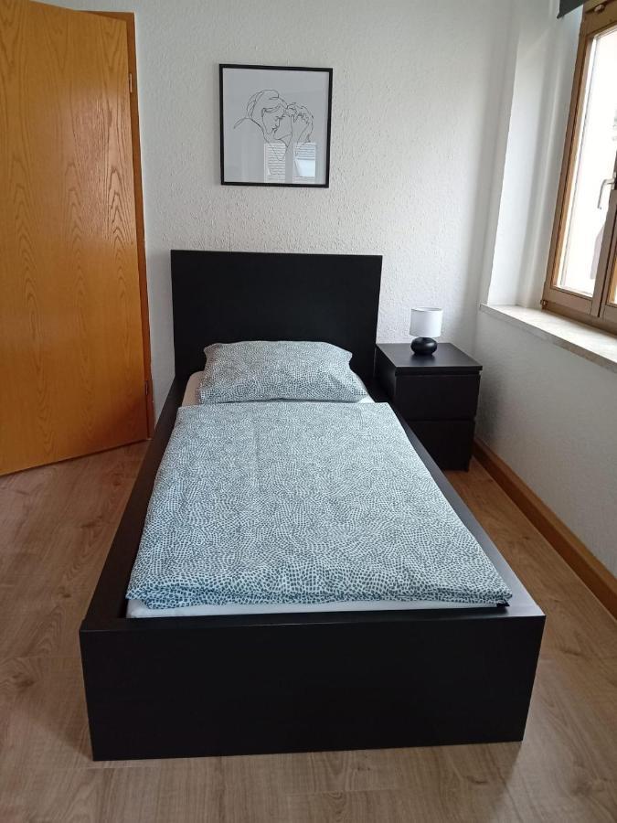 Zentral Und Ruhig In Auerbach Apartment Auerbach  Ngoại thất bức ảnh